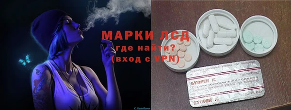 ешки Новозыбков