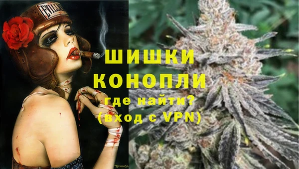 сатива Нефтегорск