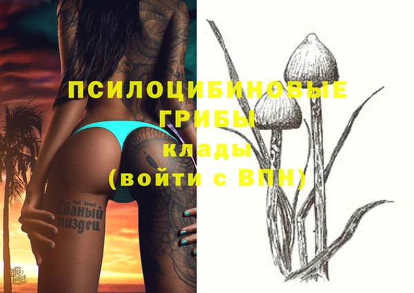 герыч Новодвинск