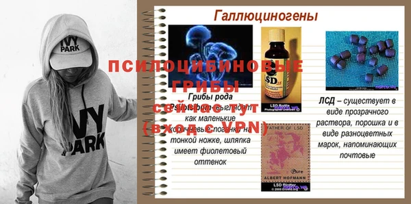 ешки Новозыбков