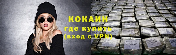 ПСИЛОЦИБИНОВЫЕ ГРИБЫ Нея