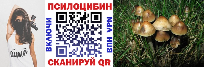 купить закладку Семикаракорск Галлюциногенные грибы ЛСД